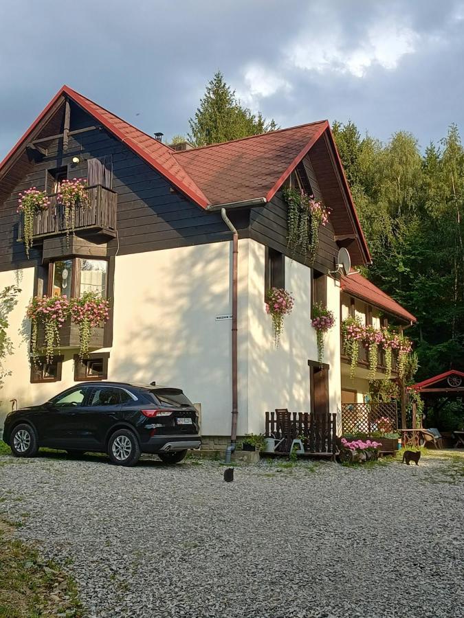 Kocia Gorka Apartment Wisla Exterior photo